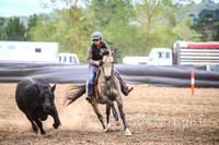 NimmitabelCampdraft2017_3434