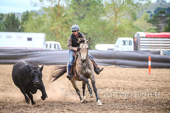 NimmitabelCampdraft2017_3434