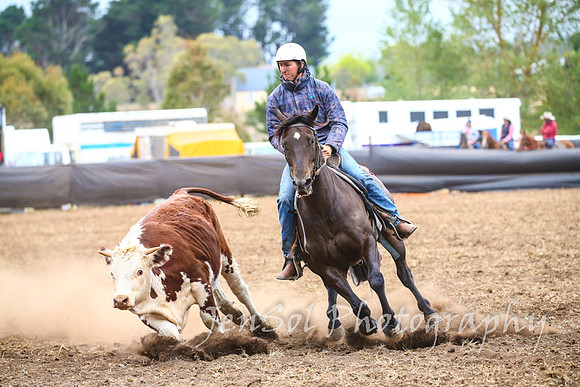 NimmitabelCampdraft2017_3603