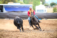 NimmitabelCampdraft2017_3463
