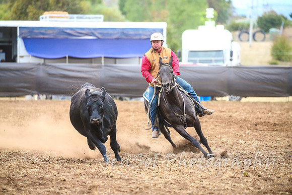 NimmitabelCampdraft2017_3463