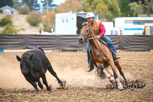 NimmitabelCampdraft2017_3582