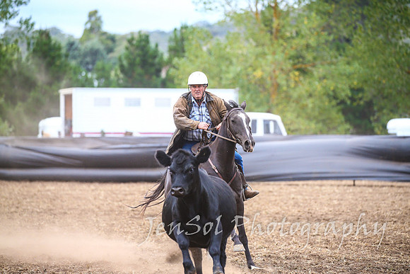 NimmitabelCampdraft2017_3394
