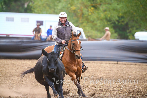 NimmitabelCampdraft2017_3546