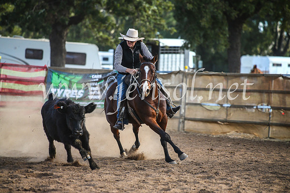 CoonambleRodeoCampdraftMon_8054