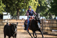 CoonambleRodeoCampdraftMon_8042