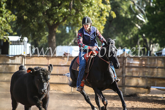 CoonambleRodeoCampdraftMon_8042