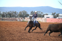 IllaboSat_0311