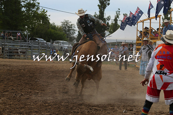 MossVale2015_1281