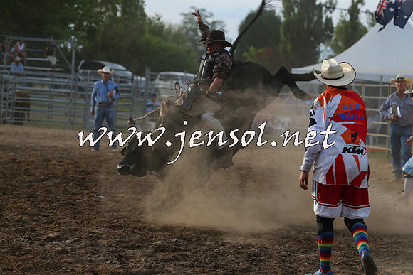 MossVale2015_0978