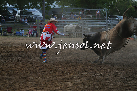 MossVale2015_1277