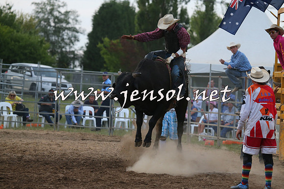 MossVale2015_1453