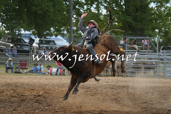 MossVale2015_1207
