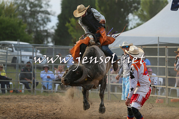 MossVale2015_1091