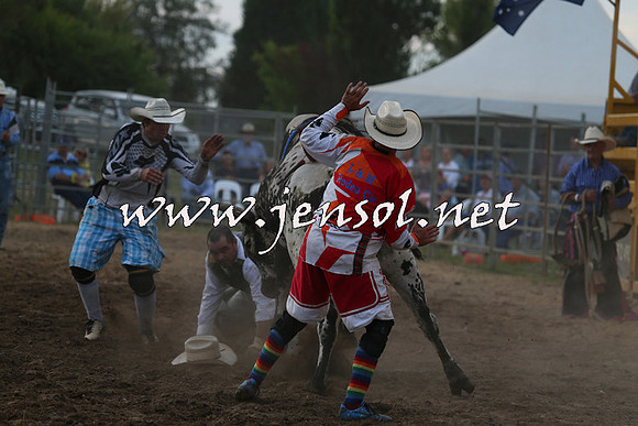 MossVale2015_1471