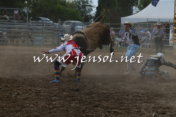 MossVale2015_1268