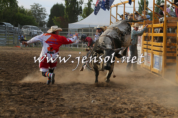 MossVale2015_1057