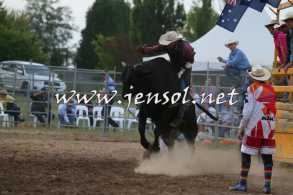 MossVale2015_1443