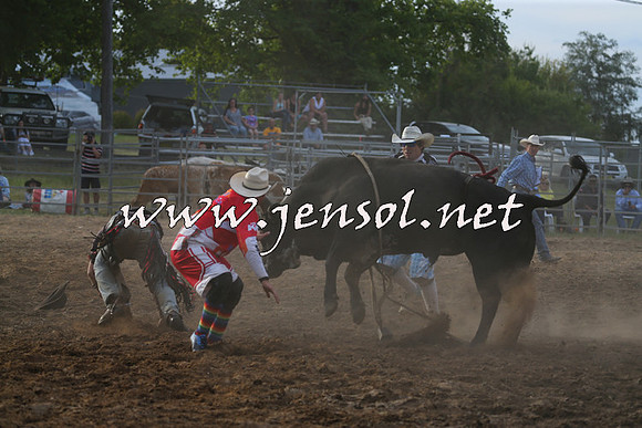 MossVale2015_1022
