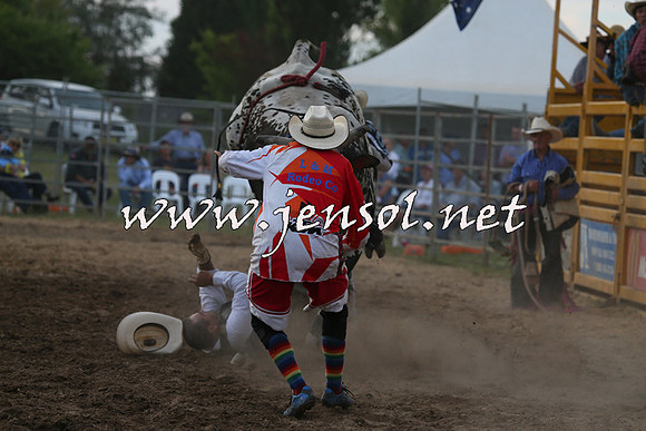 MossVale2015_1465