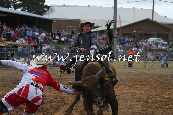 MossVale2015_1244