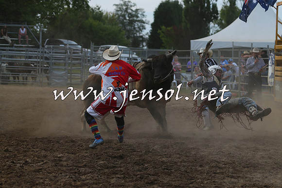 MossVale2015_1274