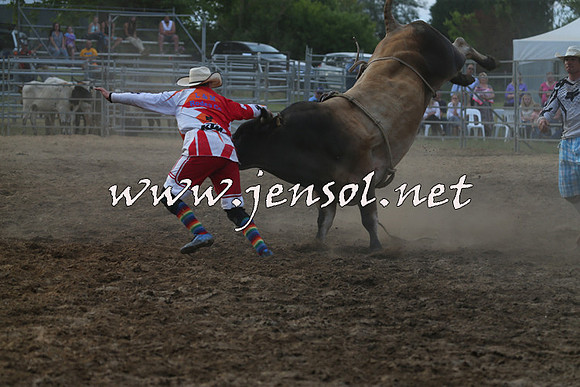 MossVale2015_1263