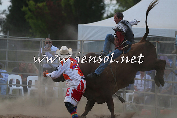 MossVale2015_1399