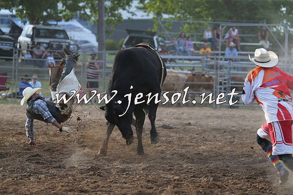 MossVale2015_0940
