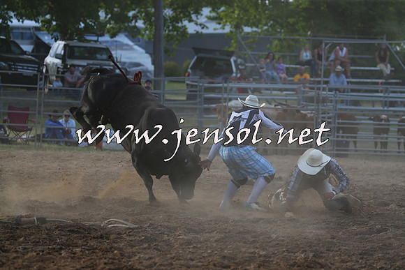 MossVale2015_0962