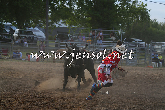 MossVale2015_1043