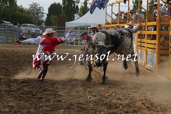 MossVale2015_1053