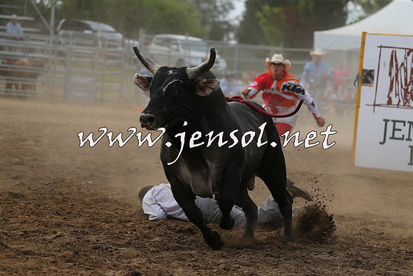 MossVale2015_1379