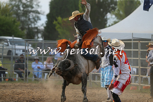 MossVale2015_1086