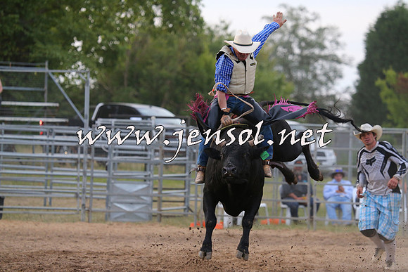 MossVale2015_1434