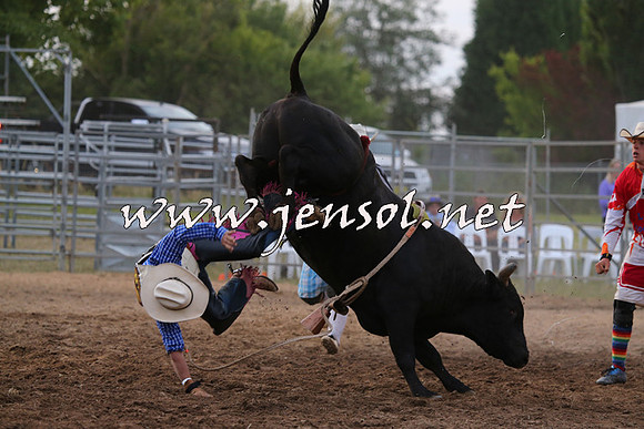 MossVale2015_1425