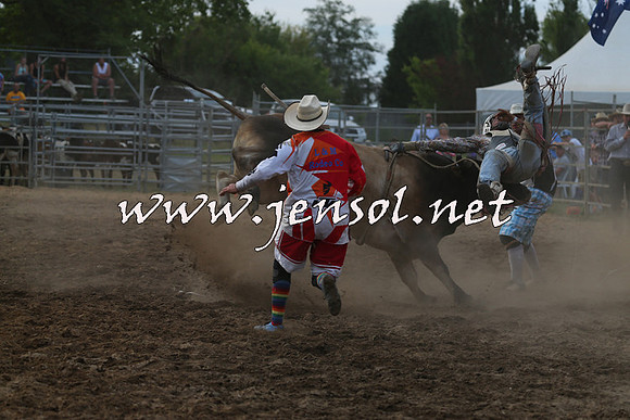 MossVale2015_1270