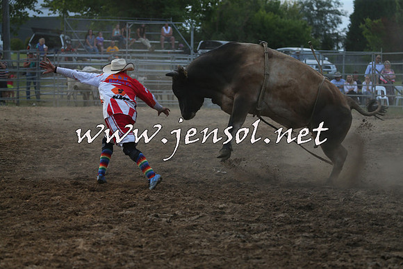 MossVale2015_1266