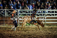 CoomaRodeo2016_3369
