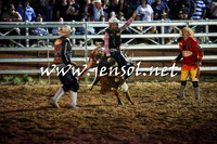 CoomaRodeo2016_3337