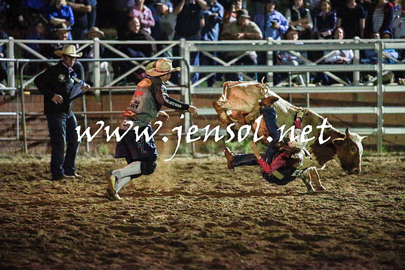 CoomaRodeo2016_3503