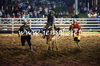 CoomaRodeo2016_3395