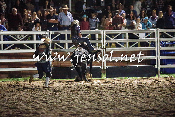 CoomaRodeo2016_3537
