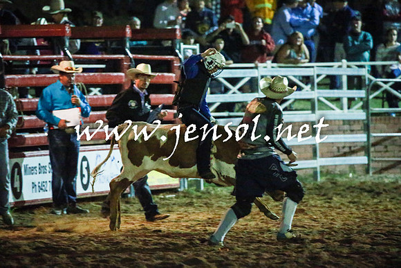 CoomaRodeo2016_3559