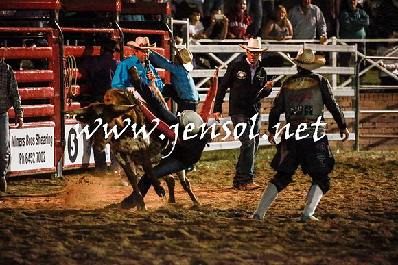 CoomaRodeo2016_3431