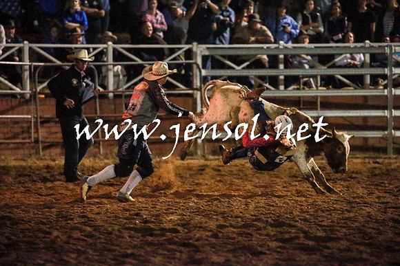 CoomaRodeo2016_3502