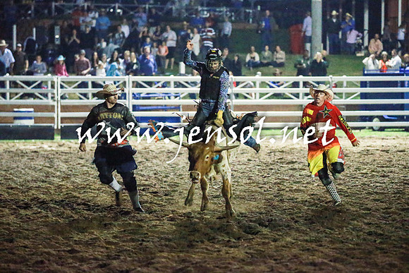 CoomaRodeo2016_3391