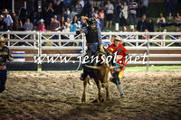 CoomaRodeo2016_3389
