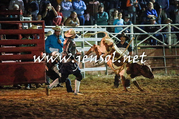 CoomaRodeo2016_3543