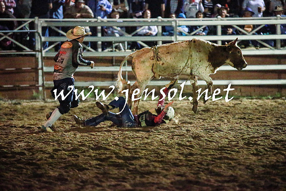 CoomaRodeo2016_3498